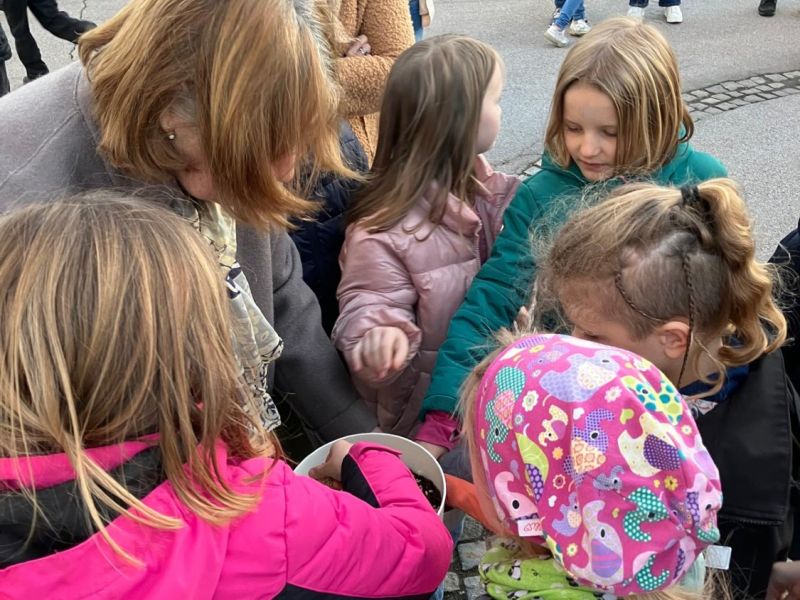 img wa0008 img wa0008